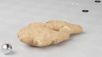 Ginger - Photogrammetry Scan