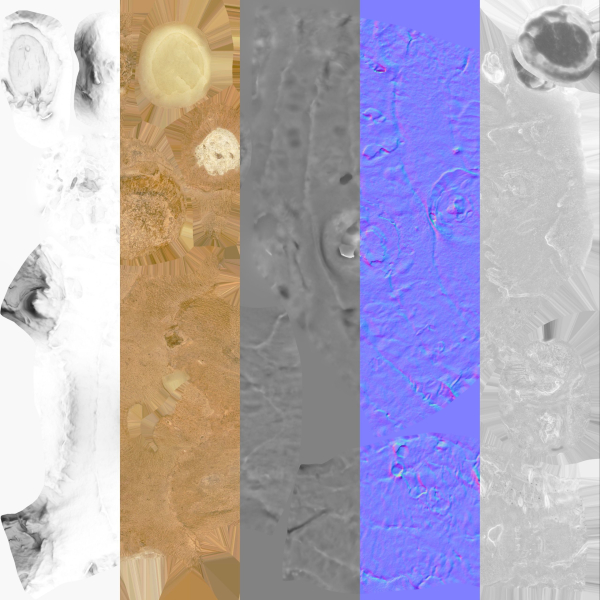 Ginger - Photogrammetry Scan