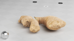 Ginger - Photogrammetry Scan