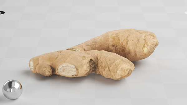 Ginger - Photogrammetry Scan