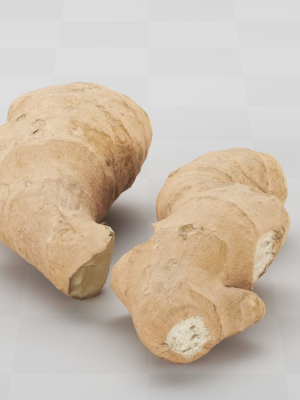 Ginger - Photogrammetry Scan