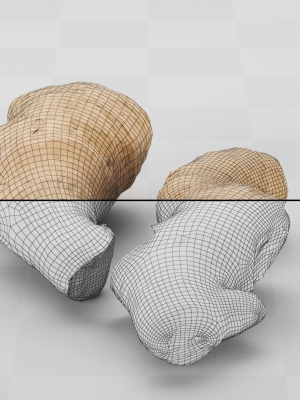 ginger-photogrammetry-scan-3d-model-c92801e187