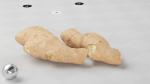 Ginger - Photogrammetry Scan
