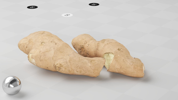 Ginger - Photogrammetry Scan