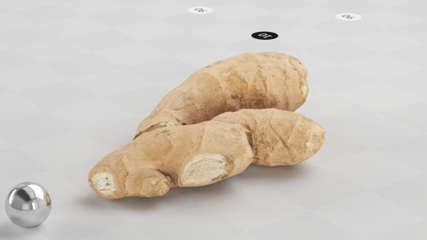 Ginger - Photogrammetry Scan