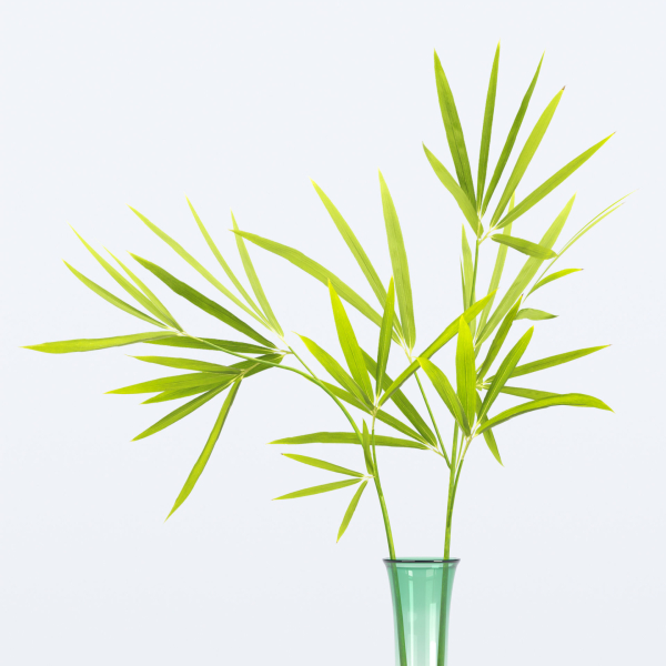 Glass vase with leaves vol 10