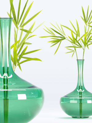 Glass vase with leaves vol 10
