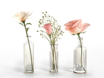 Glass Vases With Flowers