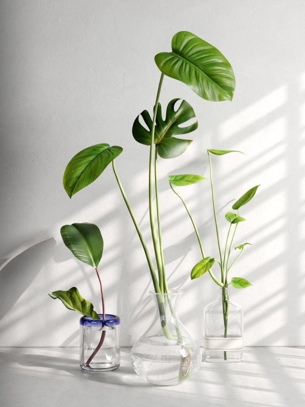 Glass Vases with Leaves 2