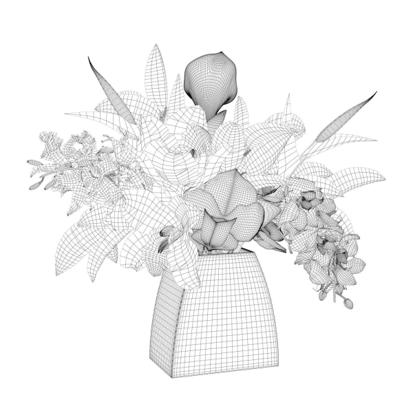Glass Vases with Orchid Flowers