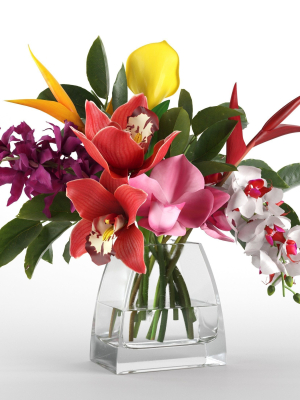 Glass Vases with Orchid Flowers