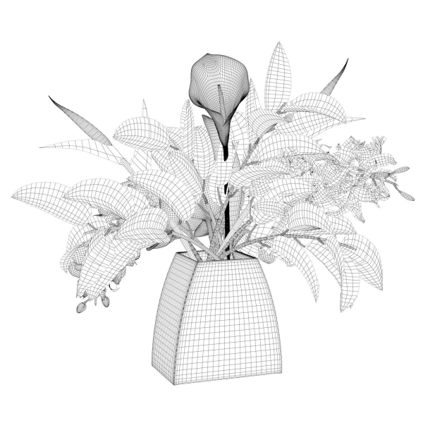 Glass Vases with Orchid Flowers