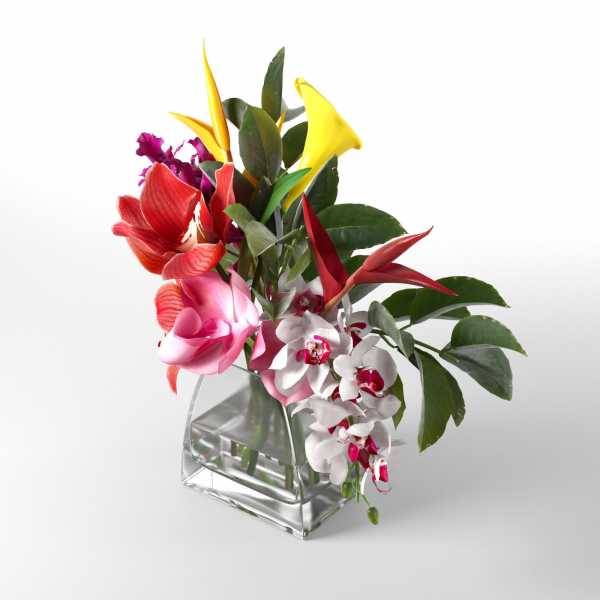 Glass Vases with Orchid Flowers