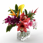 Glass Vases with Orchid Flowers