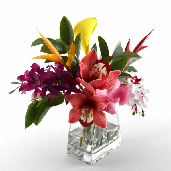 Glass Vases with Orchid Flowers