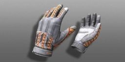 Gloves Autumn