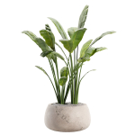 Gobi Planter