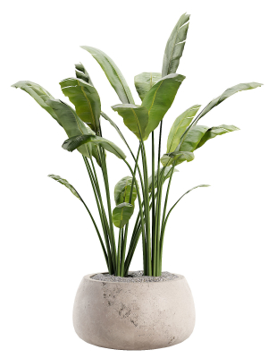 gobi-planter-3d-model-3e1429d050