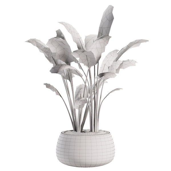 Gobi Planter