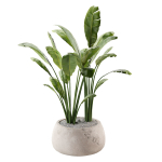Gobi Planter