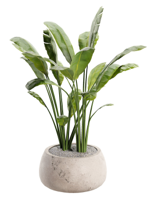 Gobi Planter