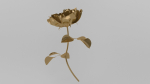 Golden Rose animation