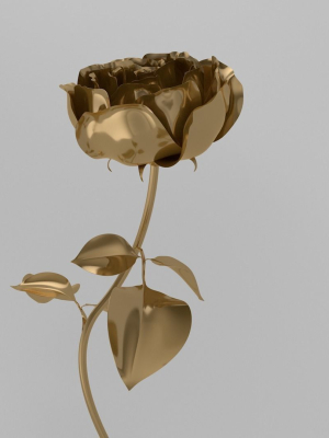 Golden Rose animation