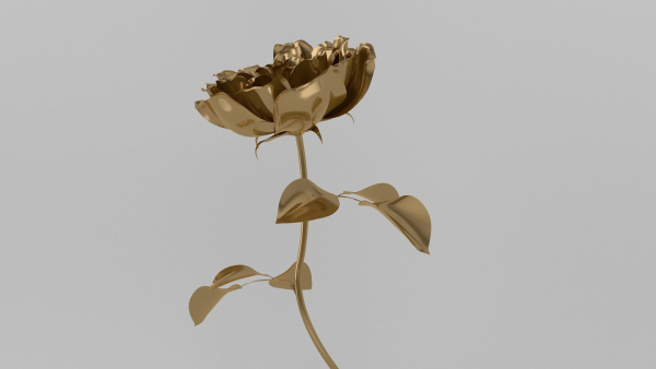 Golden Rose animation