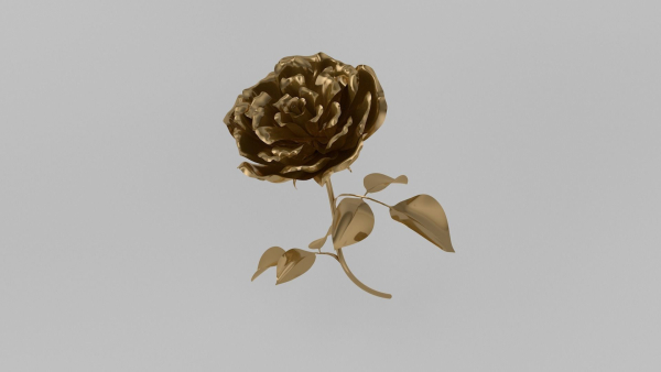 Golden Rose animation
