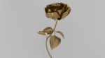 Golden Rose animation