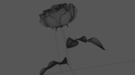 Golden Rose animation