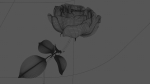Golden Rose animation