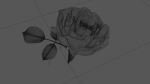 Golden Rose animation