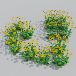 Goldstrum Plant