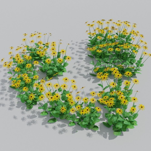 Goldstrum Plant