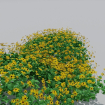 Goldstrum Plant