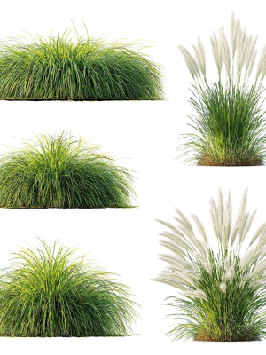 Grass 01
