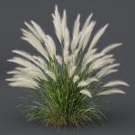 Grass 01