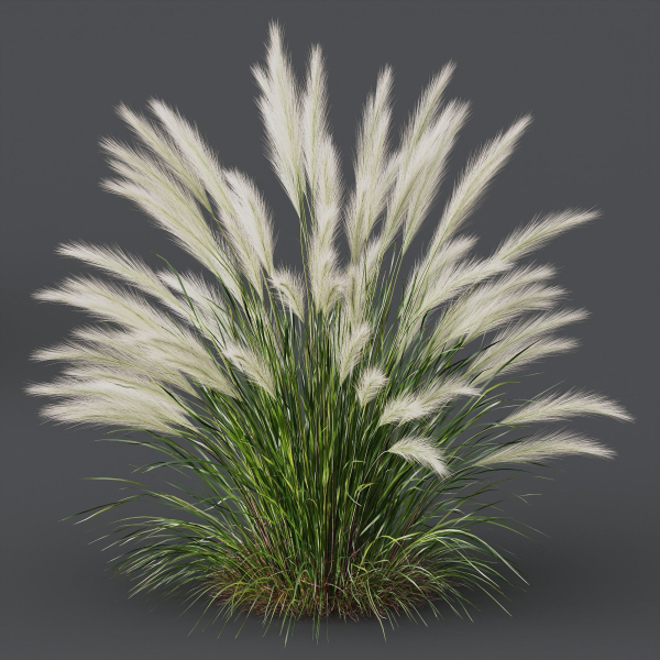 Grass 01
