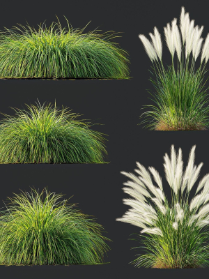 grass-01-3d-model-d4ab28e254