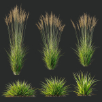 Grass 02