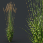 Grass 02