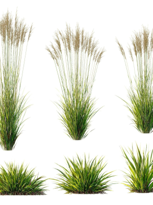 Grass 02