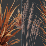 Grass 02