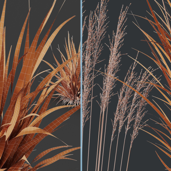 Grass 02