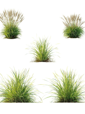 grass-3d-model-e60ecf5d00