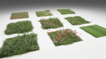Grass and daisies