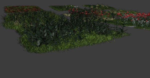 Grass and daisies