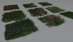 Grass and daisies