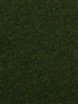 grass-3d-model-max